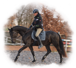 Mathias beim Reiten eines jungen Pferdes