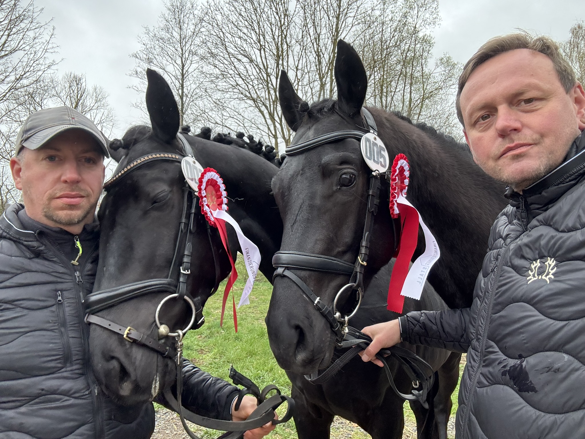 Raphael und ein weiteres Pferd mit Schleifen neben ihren Vorführern