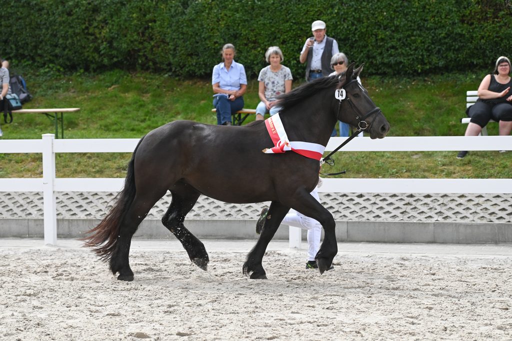 Ellena von Gransee
